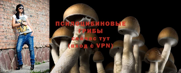 амфетамин Зеленодольск