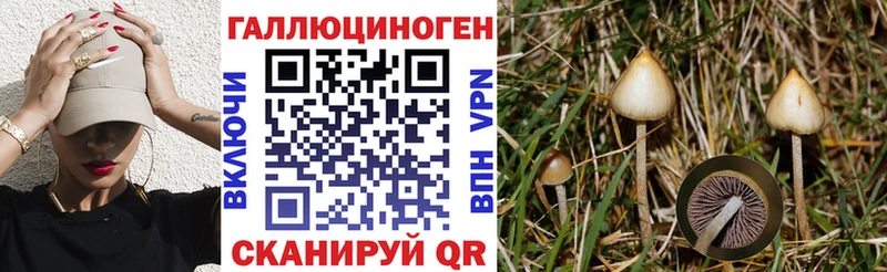 Купить  Светлогорск  Псилоцибиновые грибы мухоморы 